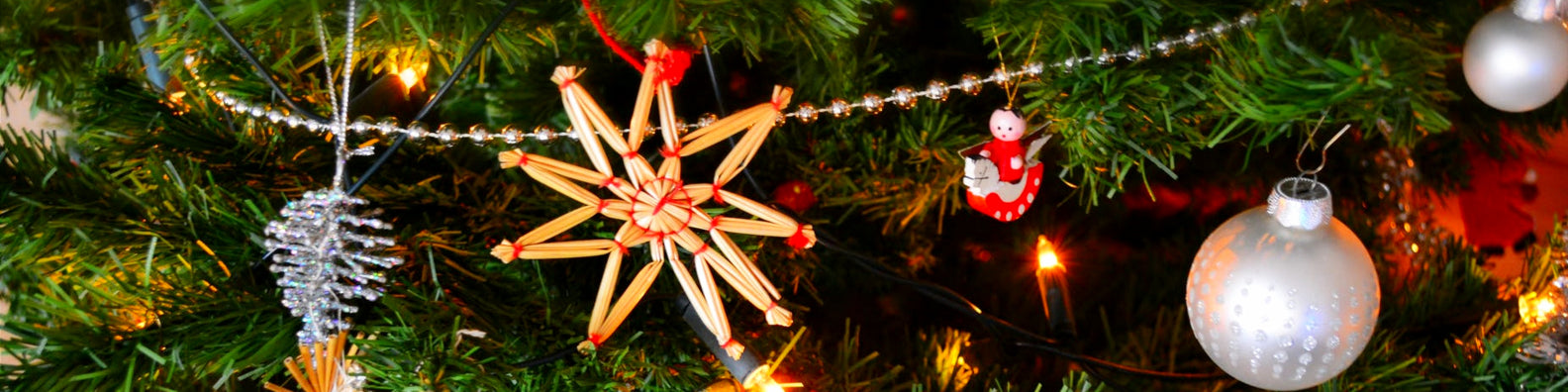 Animals in the Story of Christmas