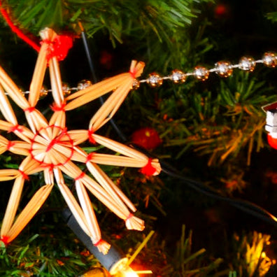 Animals in the Story of Christmas
