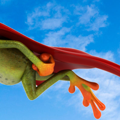5 Superpowers that Really Exist in Animals