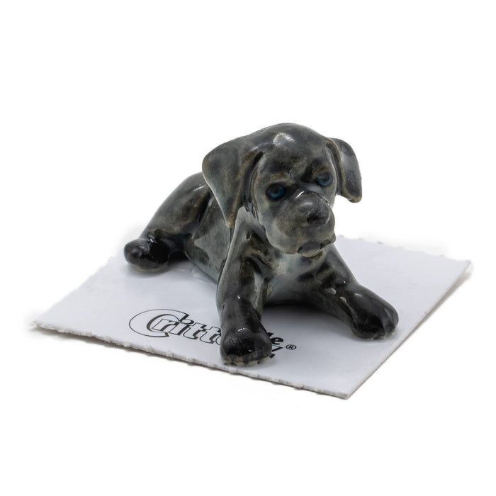 Cane Corso "Benny" - miniature porcelain figurine