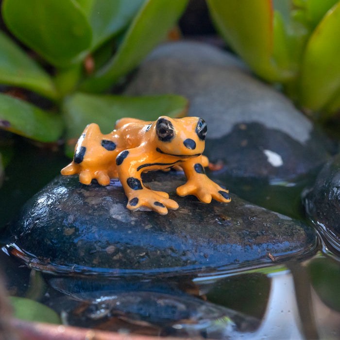 Frog  - Panamanian Golden Frog "Zeteki" - miniature porcelain figurine