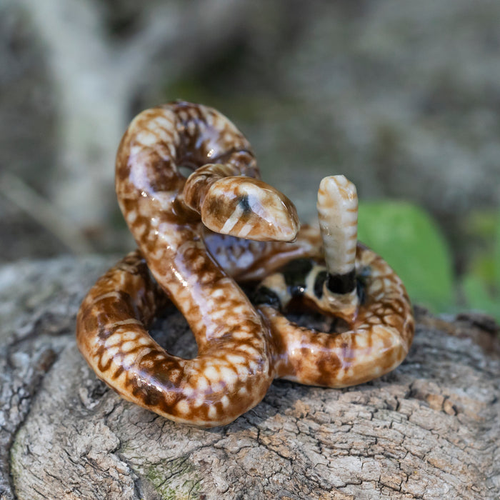 Rattlesnake   "Shakes" - miniature porcelain figurine