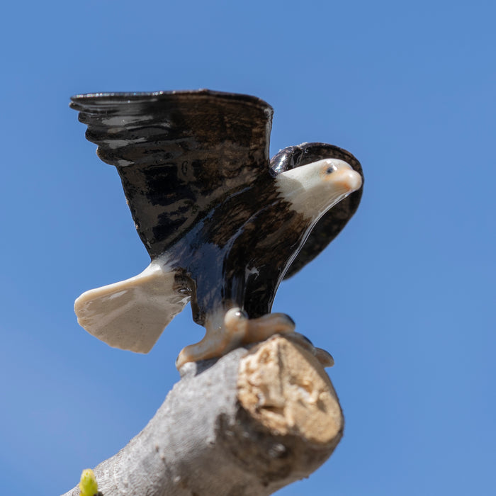 Eagle - Bald Eagle "Ari" - miniature porcelain figurine
