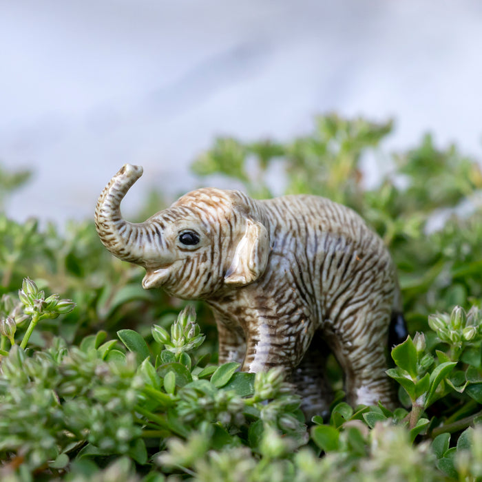 Elephant - Asian Elephant Calf  "Promise" - miniature porcelain figurine