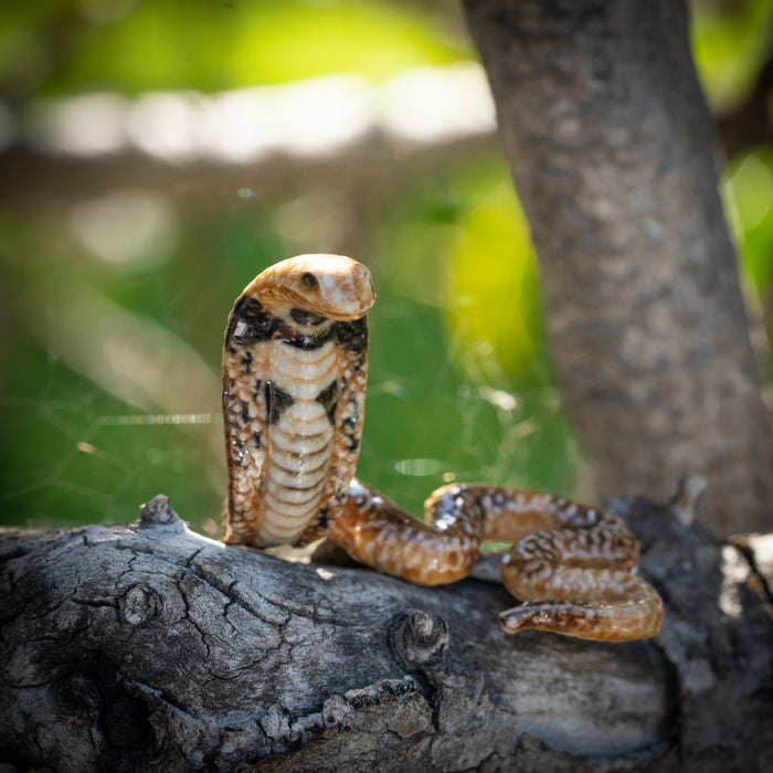 Snake - Spectacled Cobra "Naja" - miniature porcelain figurine