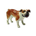 Bulldog Standing - Porcelain Animal FIgurines - Northern Rose, Little Critterz