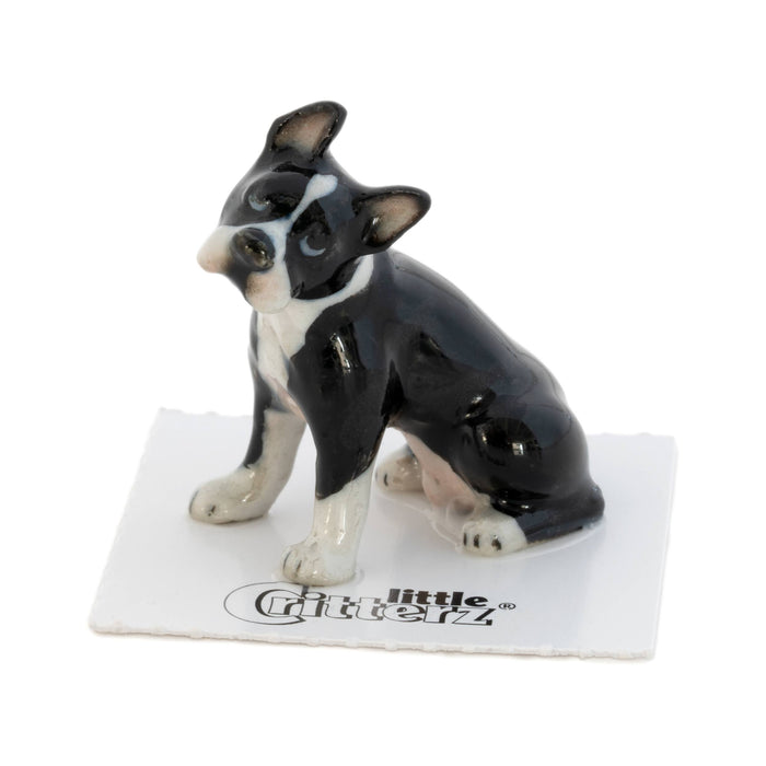 Boston Terrier "Stubby" - miniature porcelain figurine