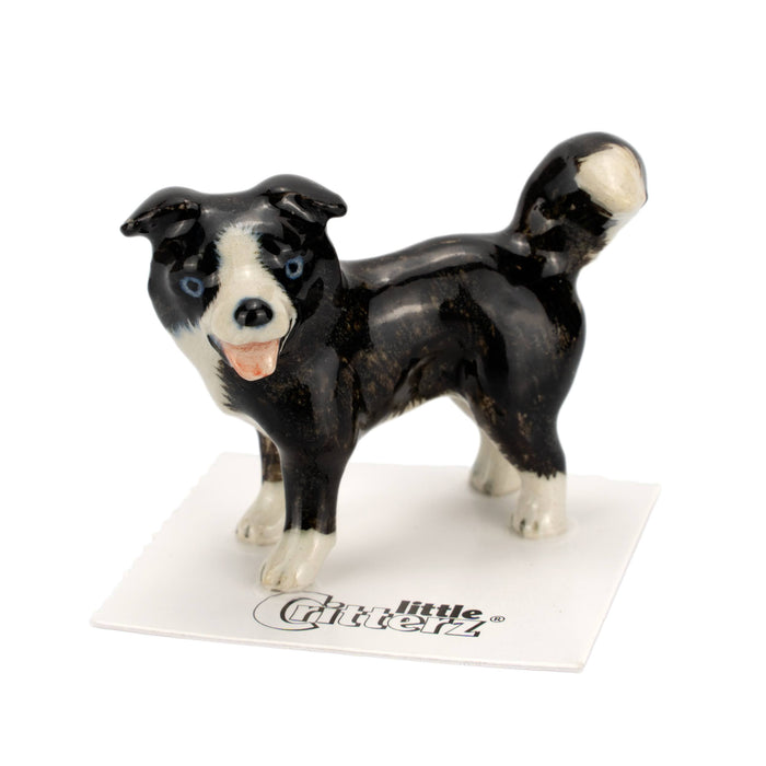Border Collie "Scott" - miniature porcelain figurine