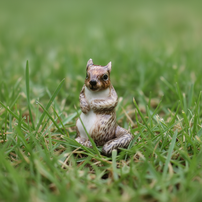 Squirrel  - Gray Squirrel "Scamper" - miniature porcelain figurine