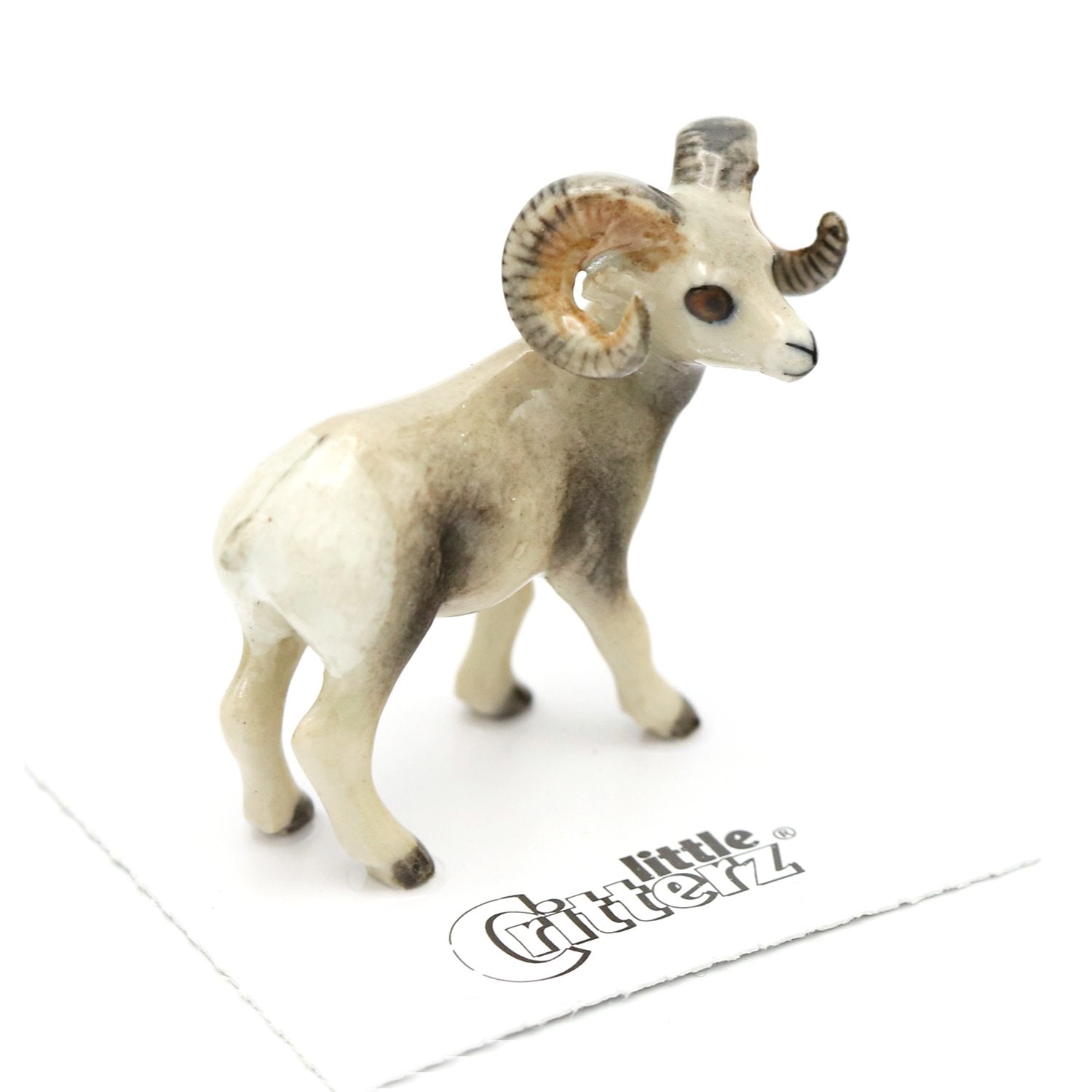 Sheep - Bighorn Sheep 