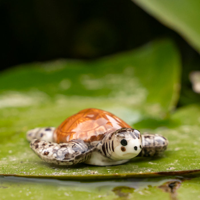 Turtle - Hawksbill Sea Turtle "Lagoon" - miniature porcelain figurine