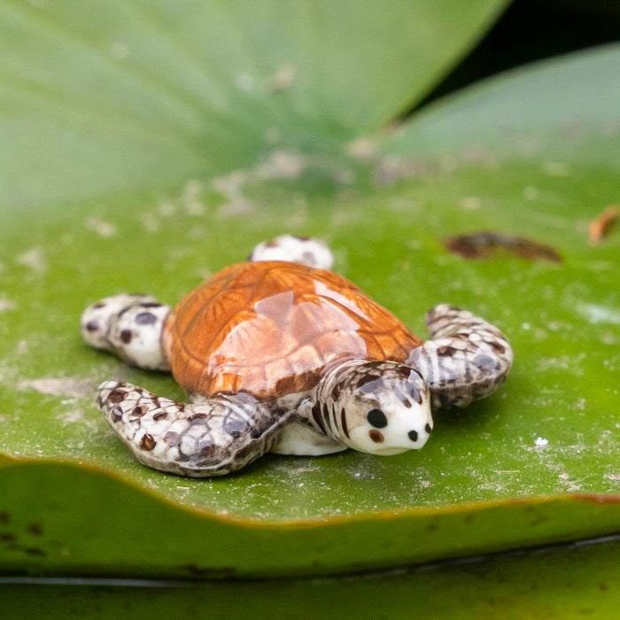 Turtle - Hawksbill Sea Turtle "Lagoon" - miniature porcelain figurine