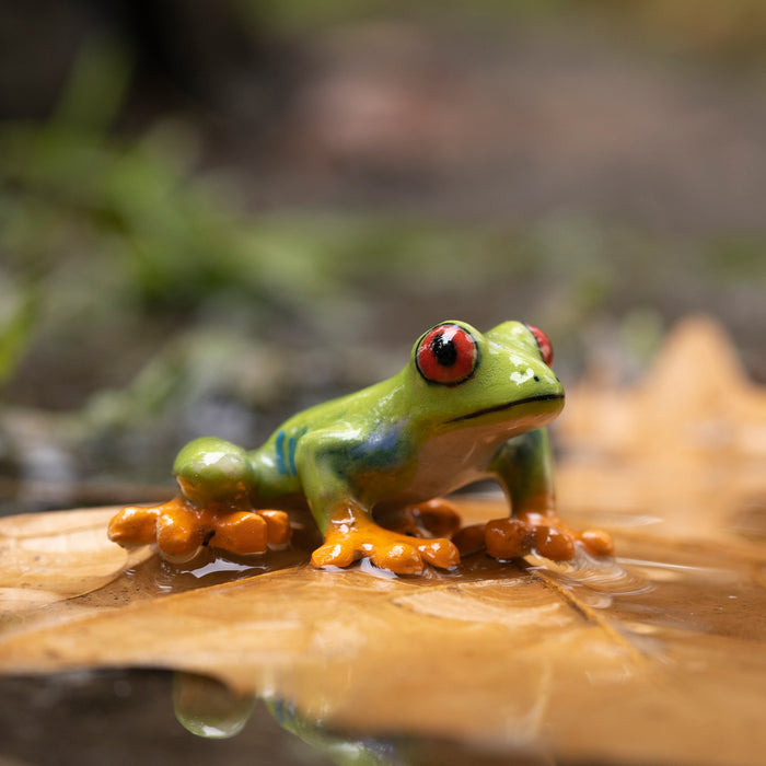 Frog - Red-Eyed Tree Frog "Clinger" - miniature porcelain figurine