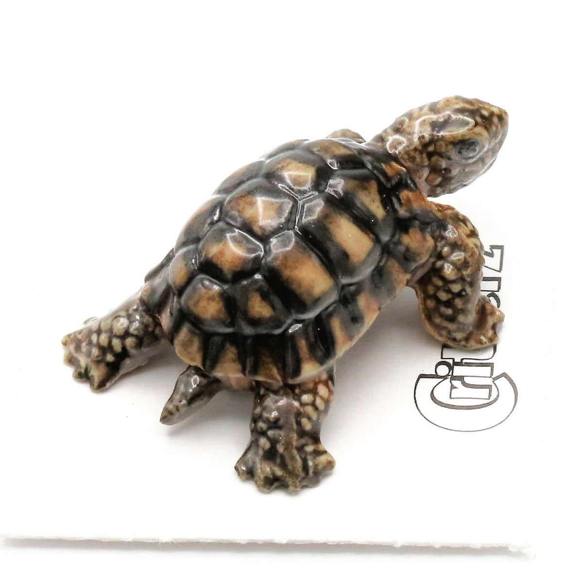 Tortoise タートス Standards Porcelain Tortoise Figurine (Desert Tortoise) Animal