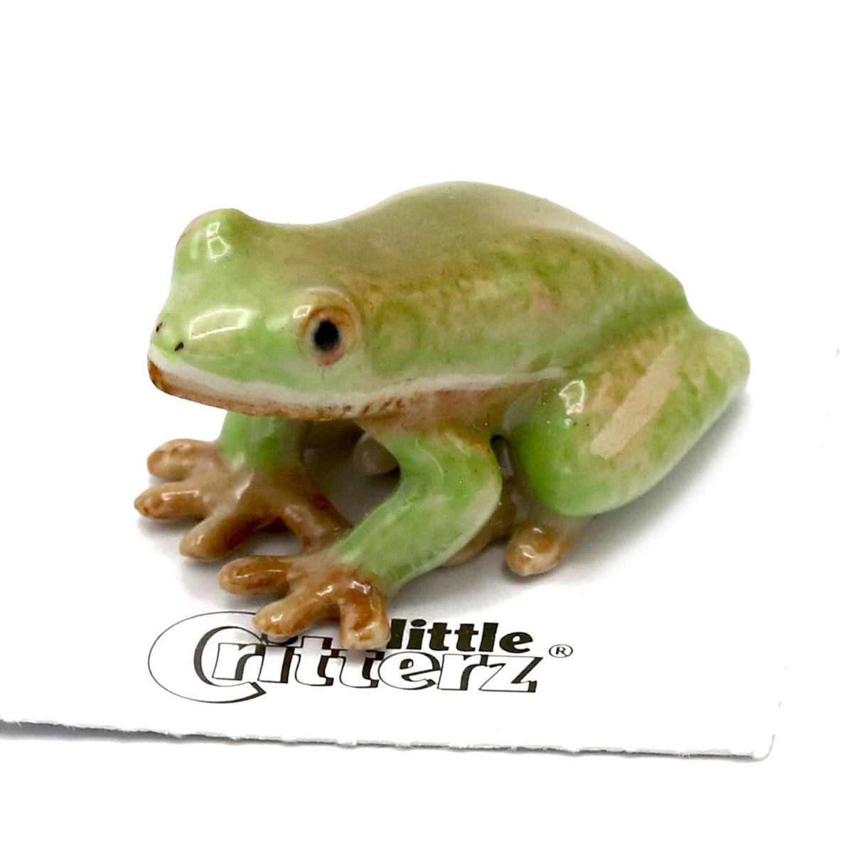 Porcelain Green Tree Frog collectible - Animal Figurines — Little