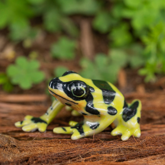 Frog - Poison Dart Frog "Harlequin" - miniature porcelain figurine