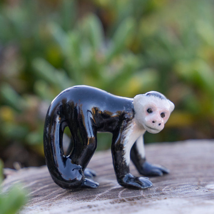 Monkey - White Headed Capuchin "Friar" - miniature porcelain figurine