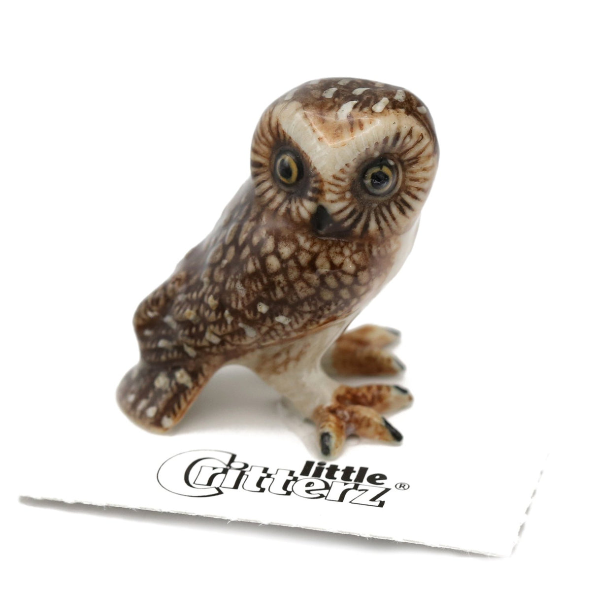 Saw-whet Owl (Owl Figurines) - Miniature Ceramic Animals — Little