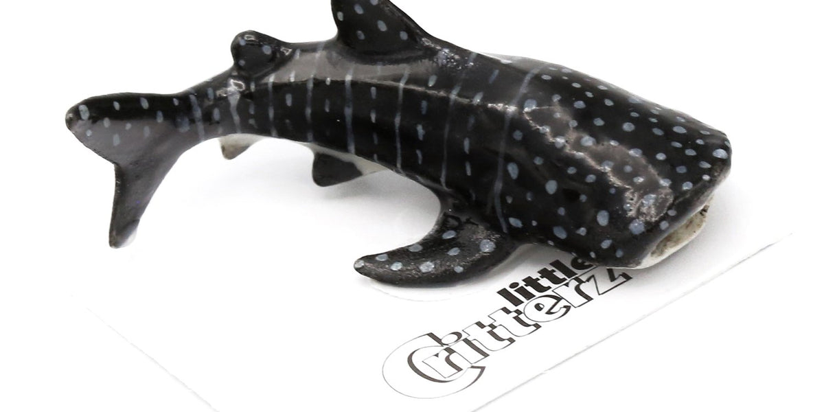 Whale Shark - Whale Shark 