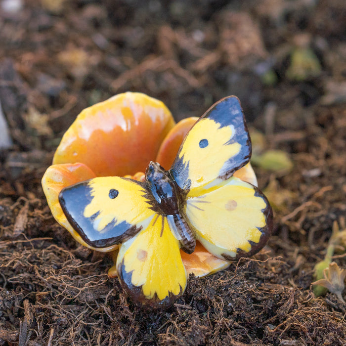 Dogface Butterfly "California" - miniature porcelain figurine