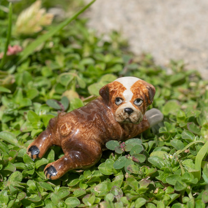 Dog  - British Bulldog  "Winston" - miniature porcelain figurine