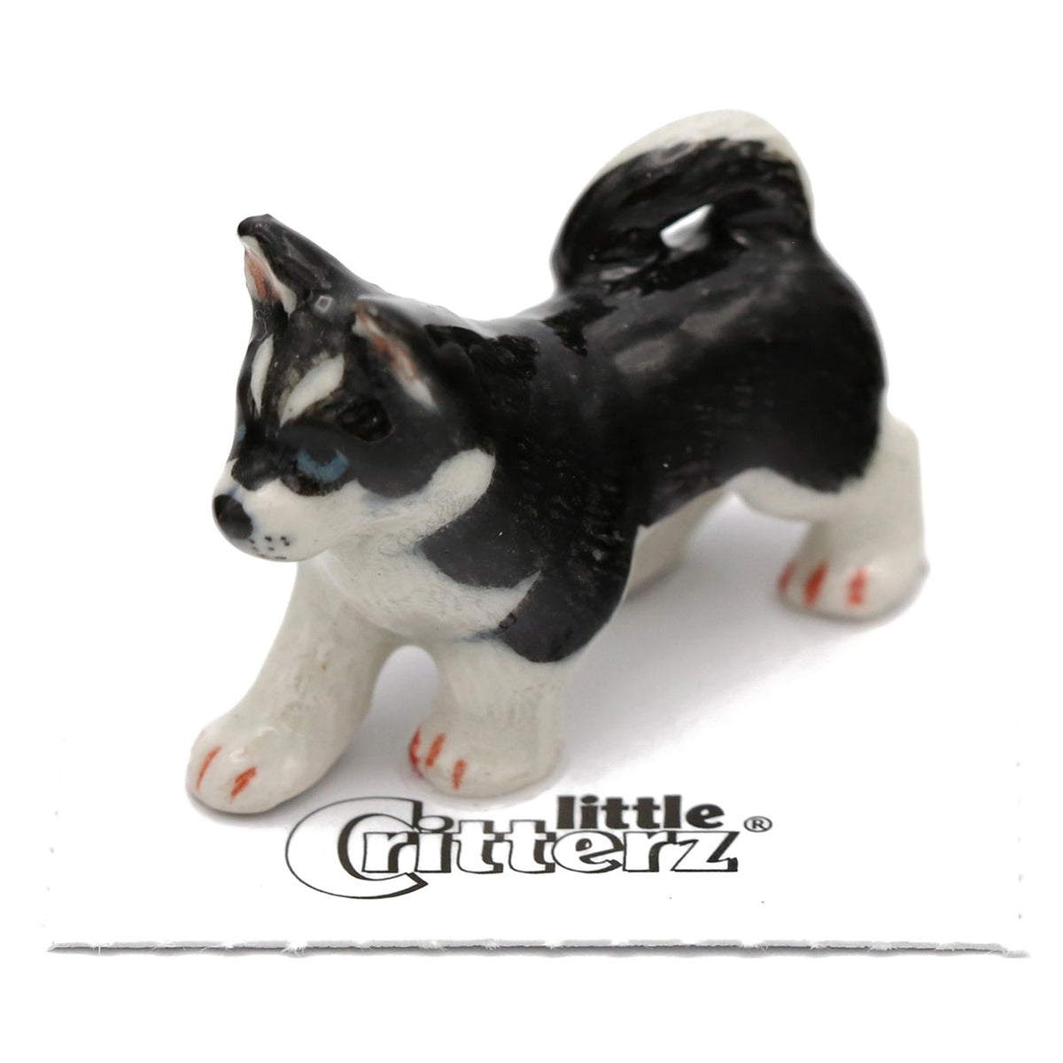 siberian husky CD4枚 Siberian Husky (Dog Figurines) Collectibles - Little