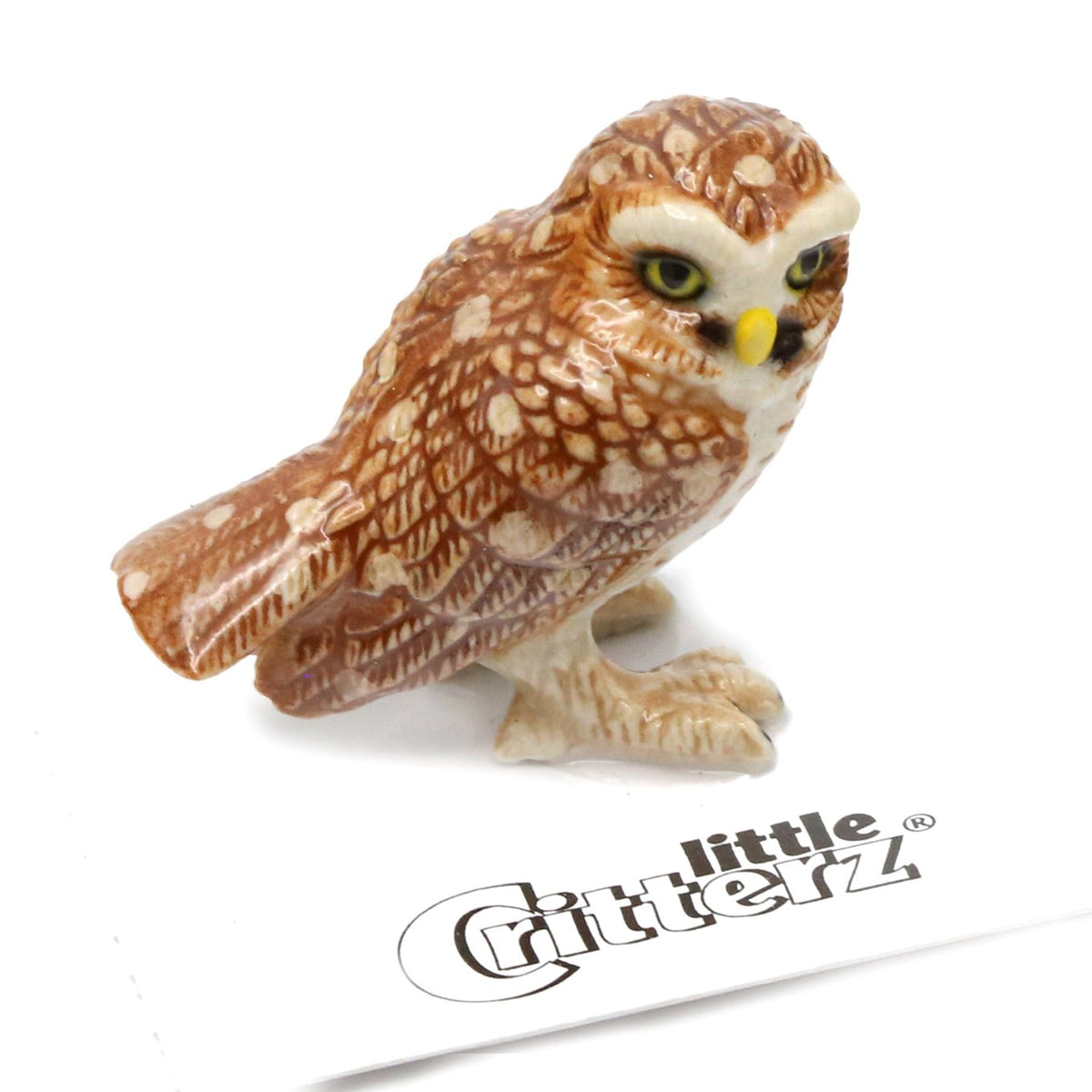 LC849_1200x1200.jpg?v=1594266258