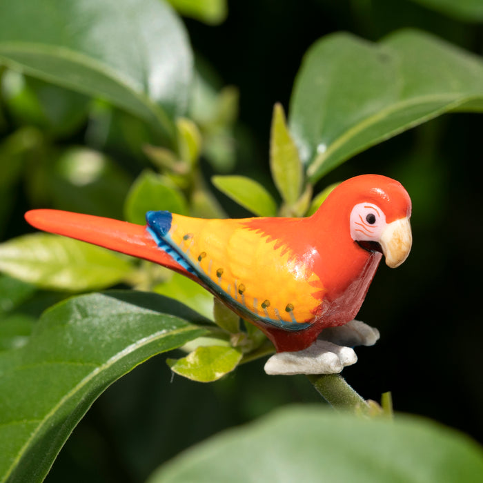 Macaw "Scarlet" - miniature porcelain figurine