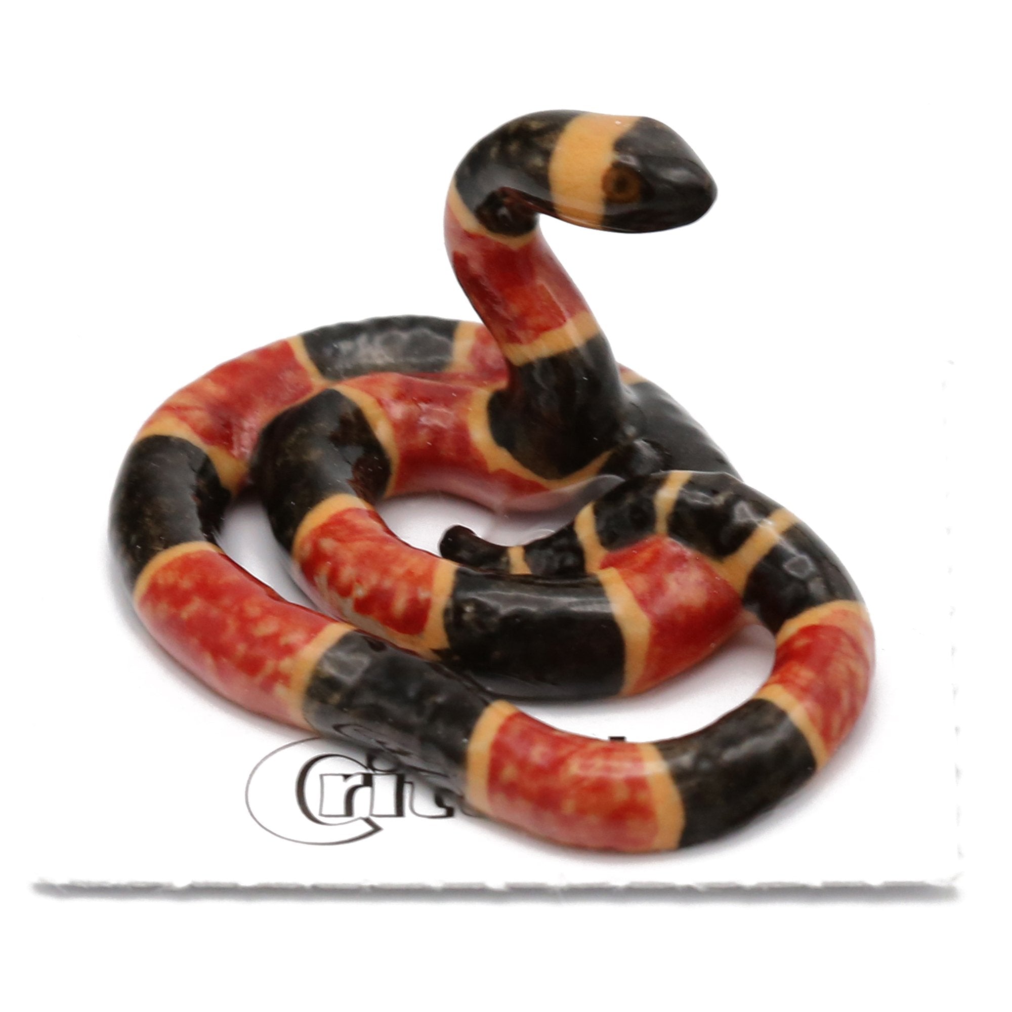 Coral Snake And King Snake Rhyme
