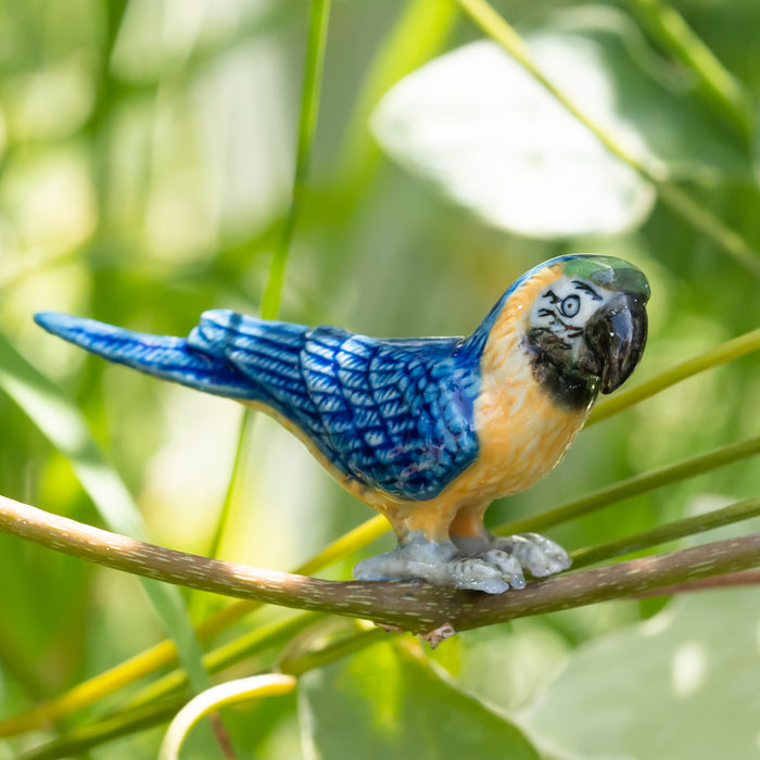 Parrot - Blue-and-Gold Macaw "Arara" - miniature porcelain figurine