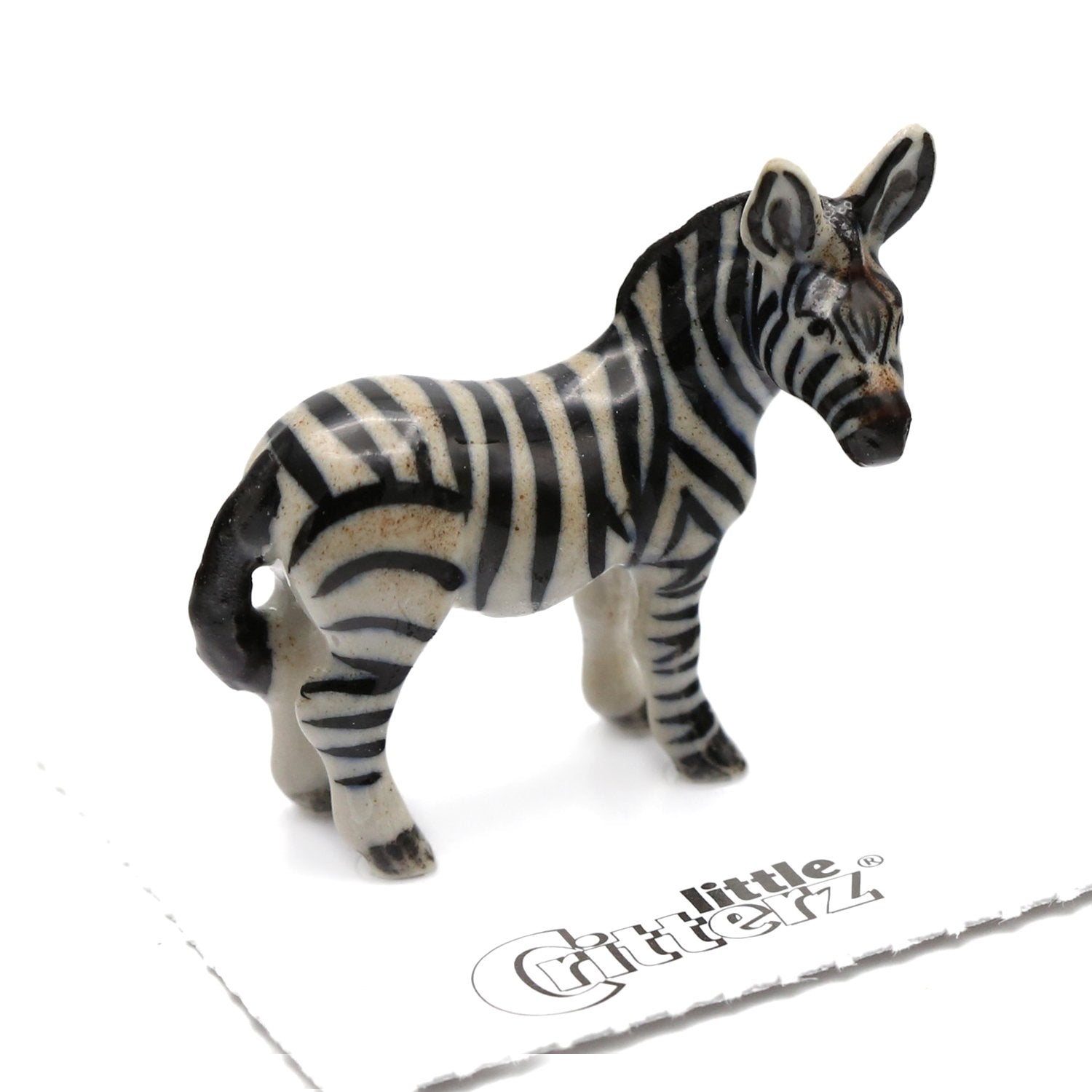 miniature zebra