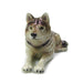 Gray Wolf Lying Down - Porcelain Animal FIgurines - Northern Rose, Little Critterz